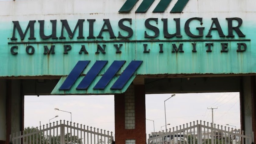 Mills To Remain Closed Till December To Allow Sugarcane To Mature